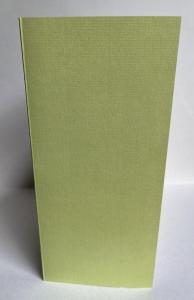 Front Flap of Swedish translation of Julian Barnes's Changing My Mind