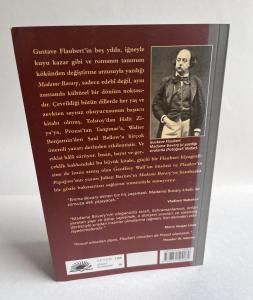 Back cover of Flaubert book with essay by Julian Barnes