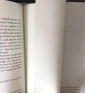 Page Separating the Two Texts