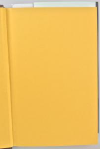 Yellow Endpapers